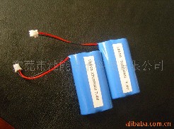 7.4V2200MAH锂电池组